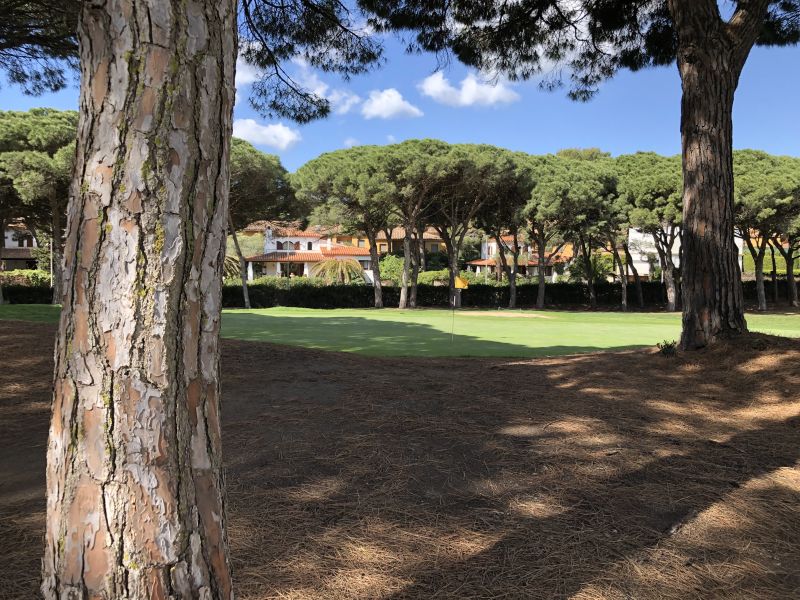 2026 - Enquête participation CT